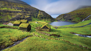 Organisches Leben: Die Kraft eines naturverbundenen Lebensstils