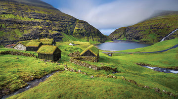 Organisches Leben: Die Kraft eines naturverbundenen Lebensstils