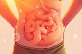 Was verursacht Blähungen? Symptome, Ursachen und natürliche Lösungen