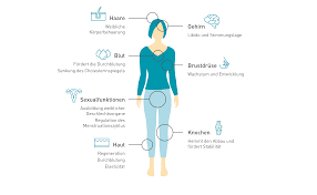 Wechseljahre und Fettansammlung im Taillenbereich – Auswirkungen hormoneller Veränderungen Einleitung: