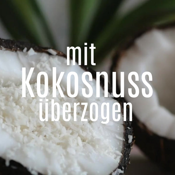 Fudge Schokolade, Kakao und Kokosnuss 110 Gr x 6