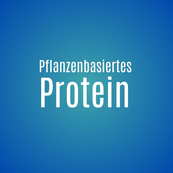 Protein Bällchen Erdbeere & Mandeln 110 Gr x 6