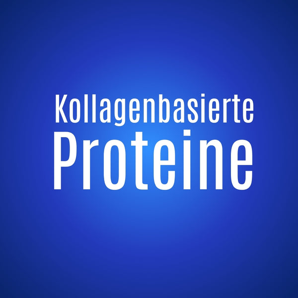 Protein Haselnuss 280 Gr