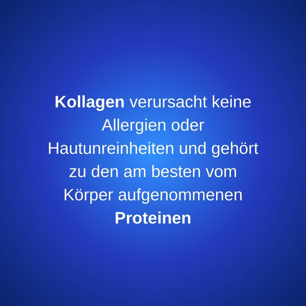 Protein Haselnuss 280 Gr
