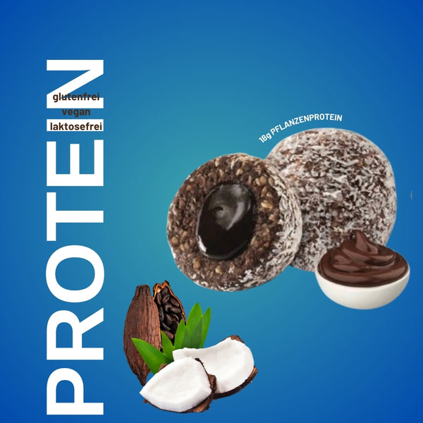 Protein Bällchen Kakao & Haselnüsse 110 Gr x 6