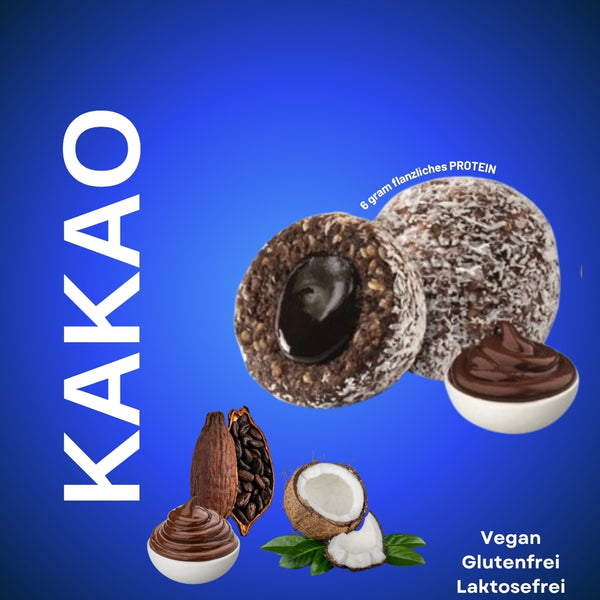 Fudge Schokolade Kakao und Kokosnuss 55 Gr x 6