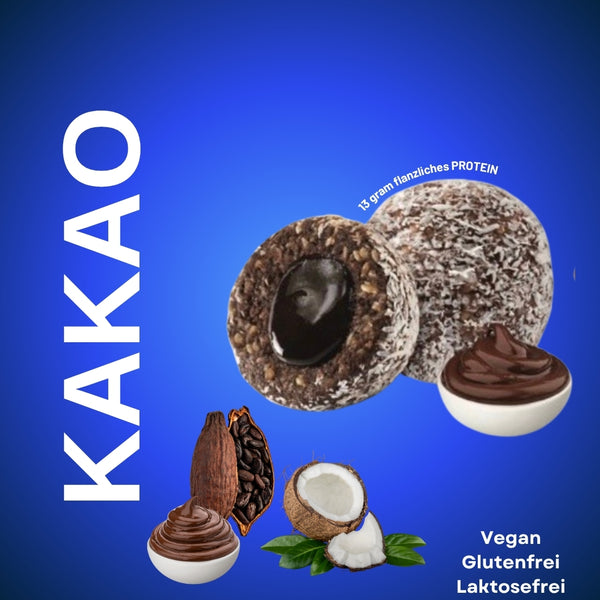 Fudge Schokolade, Kakao und Kokosnuss 110 Gr x 6