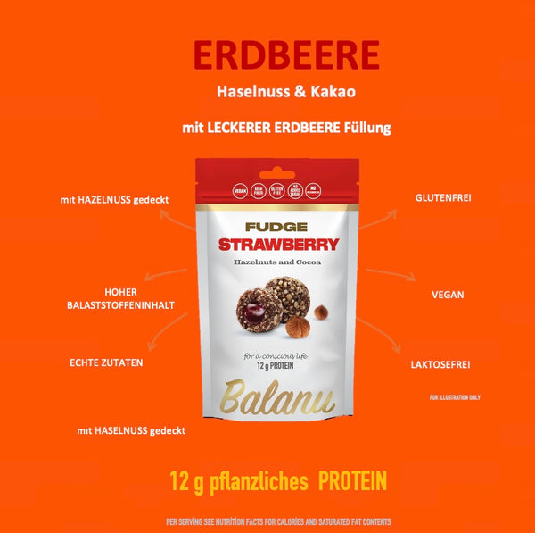 Fudge Erdbeere, Haselnüsse und Kakao 110 Gr x 6