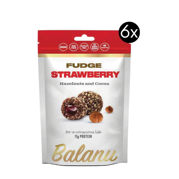 Fudge Erdbeere, Haselnüsse und Kakao 110 Gr x 6