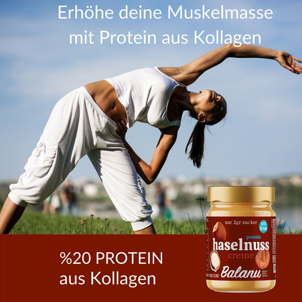 Protein Hazelnut 320 Gr